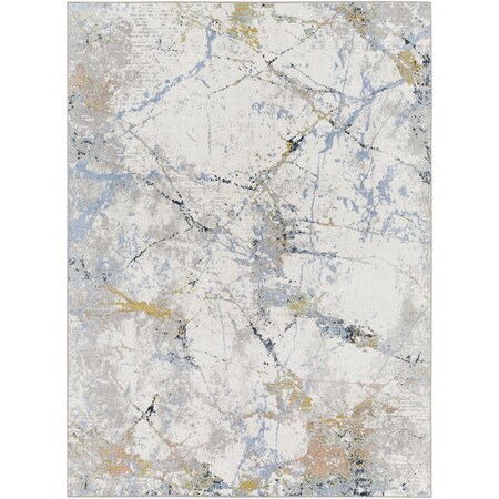 Livabliss Lavadora LVR-2356 Machine Washable Area Rug LVR2356-71010